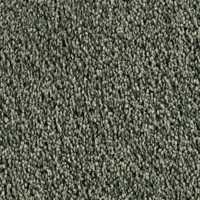 Frisé - Manduro - 027